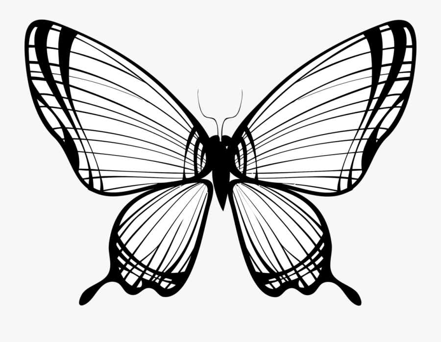 Transparent Monarch Butterfly Clipart - Butterfly Wings Line Drawing, Transparent Clipart