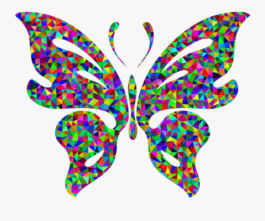 Butterfly,leaf,symmetry - Chromatic Butterfly, Transparent Clipart