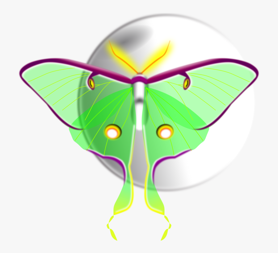 Butterfly Clipart Brush Footed - Moth, Transparent Clipart