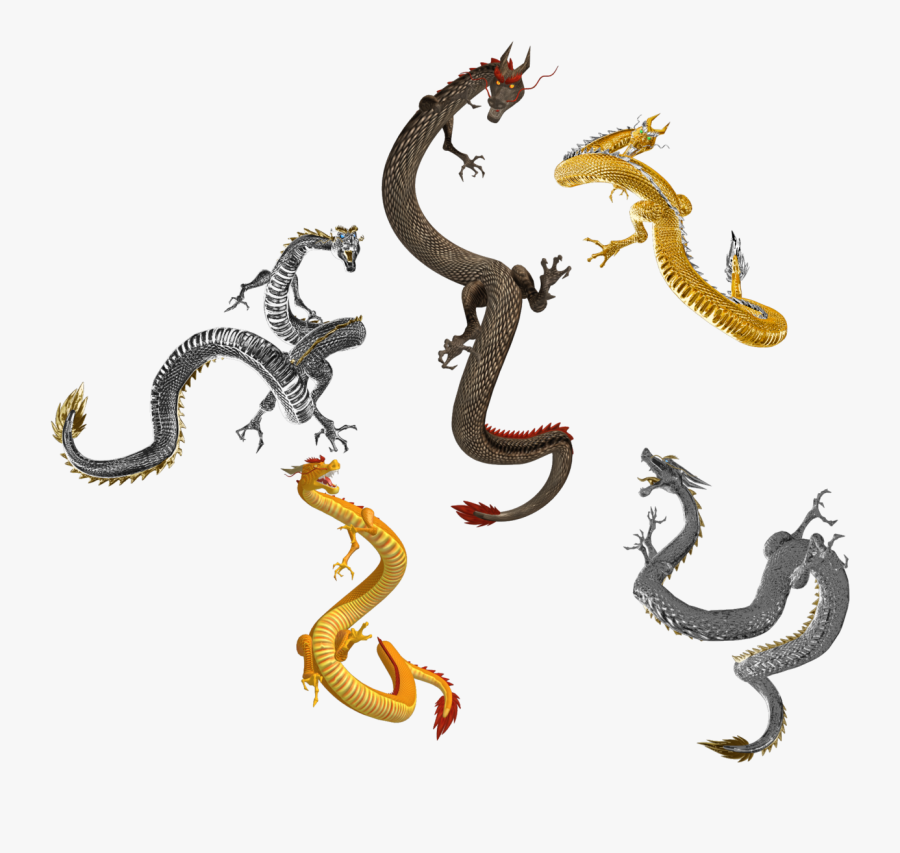 Chinese Dragon By Tokami Fuko Chinese Dragon By Tokami - Chinese Dragon Mmd, Transparent Clipart