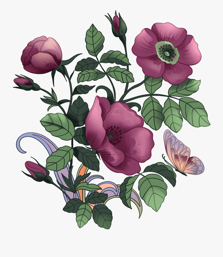 Floribunda, Transparent Clipart