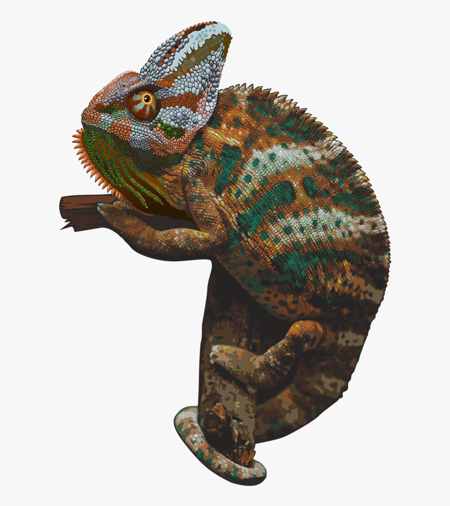 Chameleon5 Png - Chameleons Png, Transparent Clipart