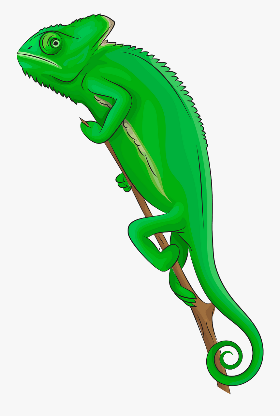 Common Chameleon, Transparent Clipart