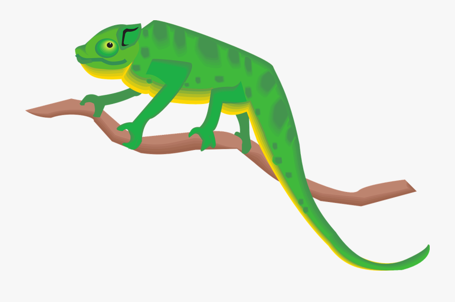 Branch Green Chameleon Standing Png Image Chameleon - Chameleon Clipart Png, Transparent Clipart