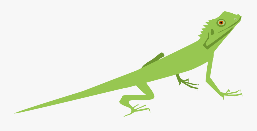 Transparent Iguana Clipart - Lizard Clipart, Transparent Clipart