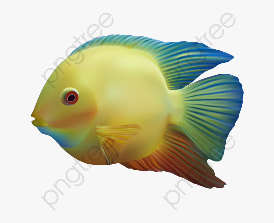 Fish Clipart Png Download Transparent Background Ocean Fish Png