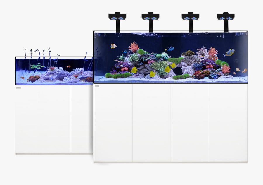 Waterbox Aquarium - Waterbox Aquariums, Transparent Clipart