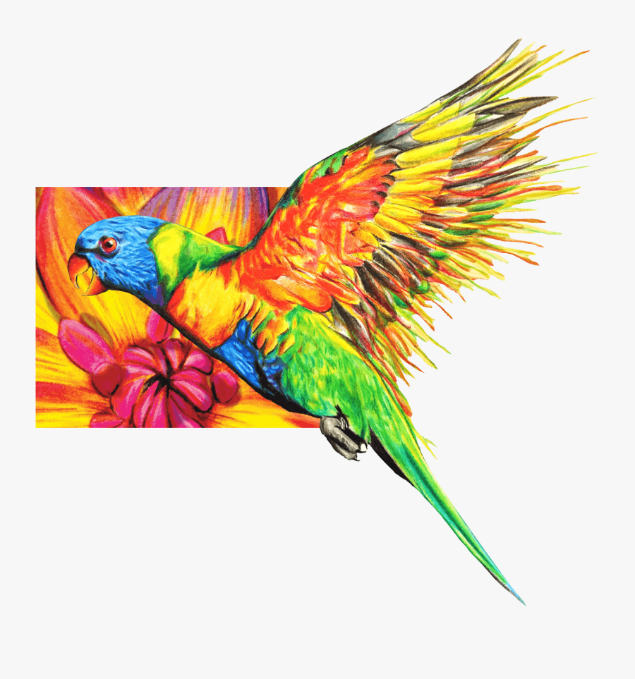 Transparent Colorful Chameleon Clipart - Colour Pencil Shading Images Of Birds, Transparent Clipart