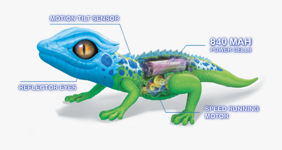 Clip Art Senegal Chameleon - Robot Lizard, Transparent Clipart