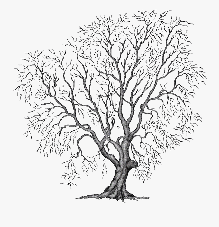 Painting Tree Clipart Illustration Png File Autumn - Winter Tree Clipart Transparent, Transparent Clipart