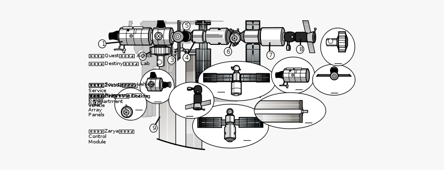 Satellite Diagram Iss Activity Sheet P2 - Cartoon, Transparent Clipart