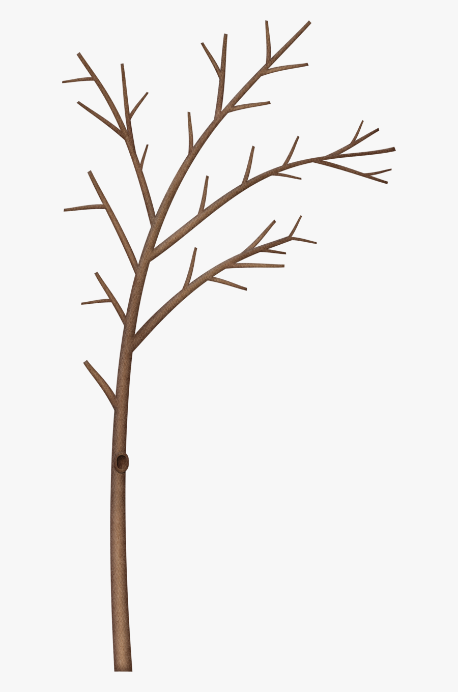 Winter Tree Branch Border Clipart, Transparent Clipart