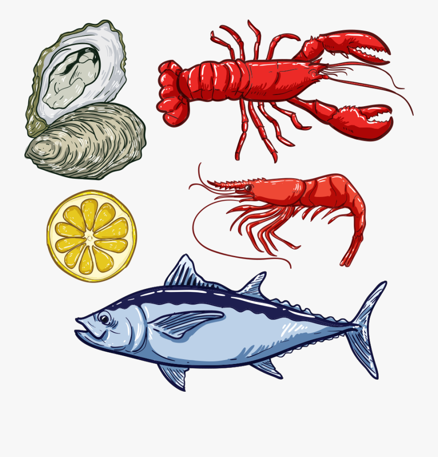 Fish Lobster Seafood Illustration - Seafood Illustration, Transparent Clipart