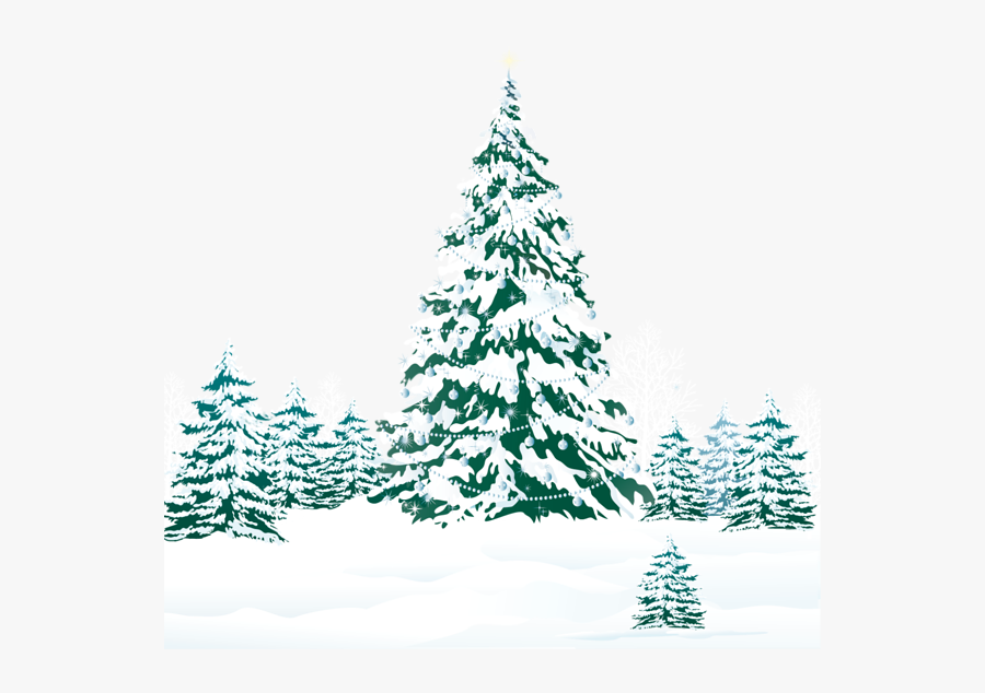 Snowy Winter Ground With Trees Png Clipart Image - Christmas Wishes Images Hd, Transparent Clipart