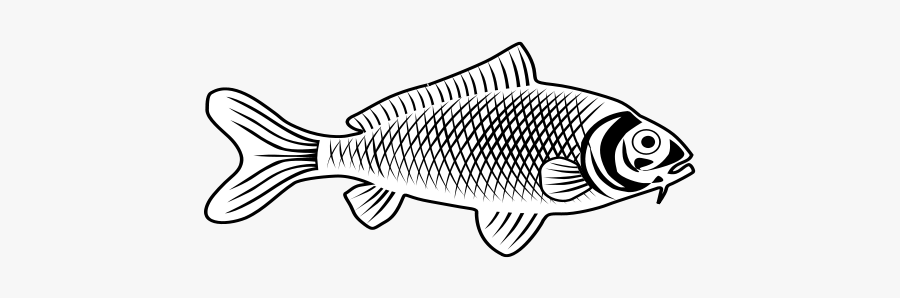 Fish - Bass, Transparent Clipart