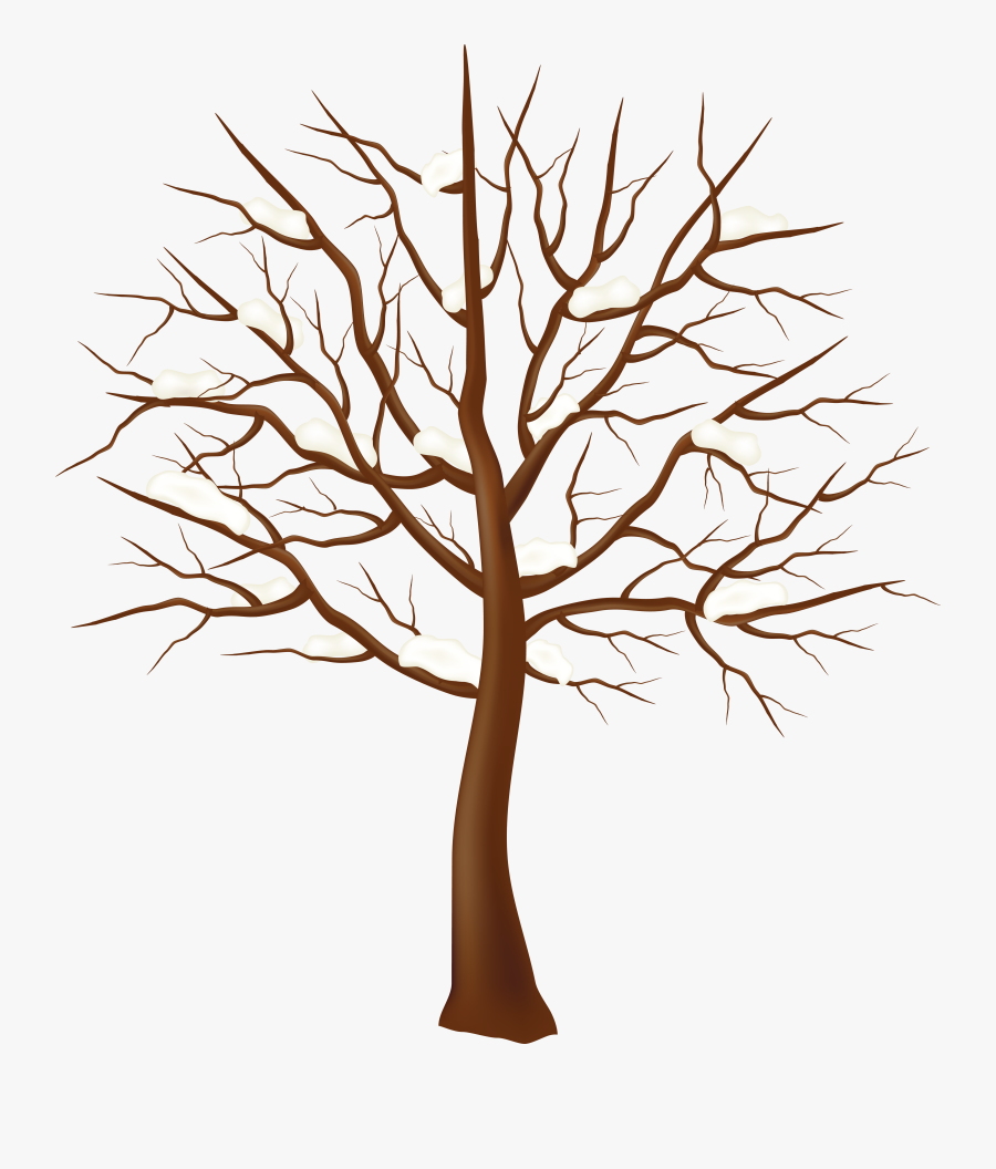Tree Winter Clip Art - Tree Vector Transparent Background, Transparent Clipart
