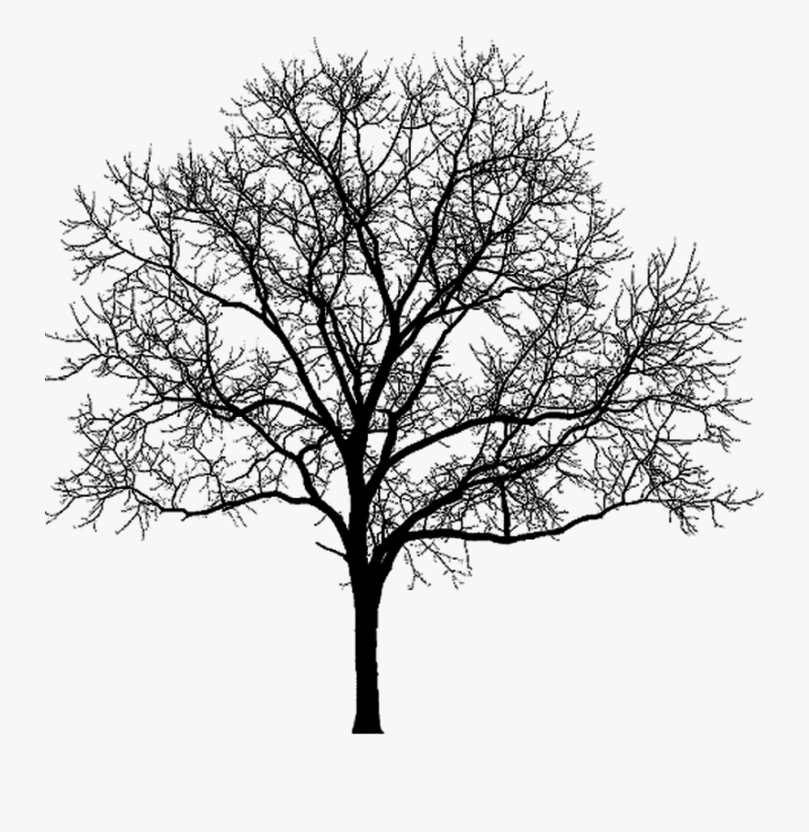 More Artists Like Stock Cut Out Tree Winter- - Black And Purple Halloween, Transparent Clipart