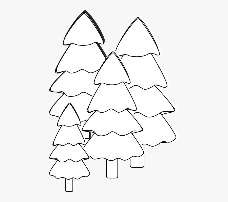 Transparent Evergreen Tree Clipart Black And White 