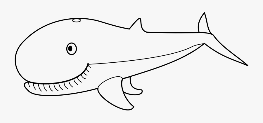 Monochrome Photography,fish,beak - Outline Pictures Of Whale, Transparent Clipart
