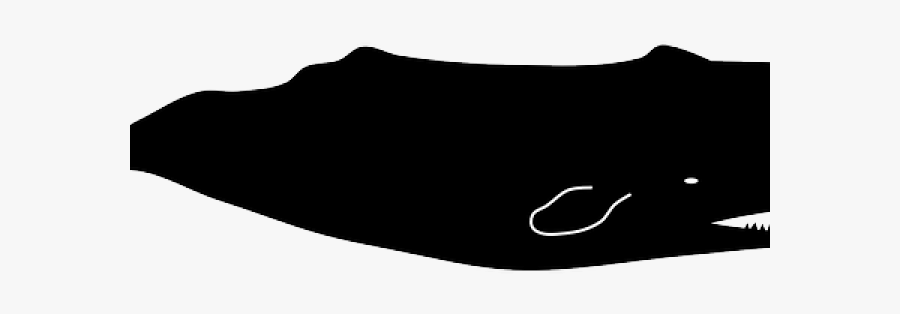 Whale Clipart Black And White, Transparent Clipart