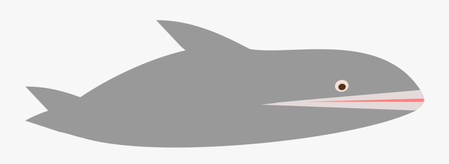 Transparent Whale Clipart Png - Shark, Transparent Clipart