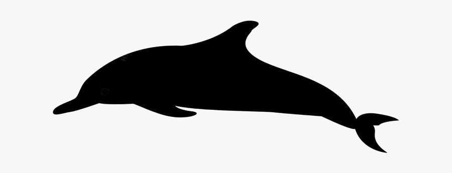 Whale Png, Transparent Whale Clipart - Delfines Animados Png , Free ...