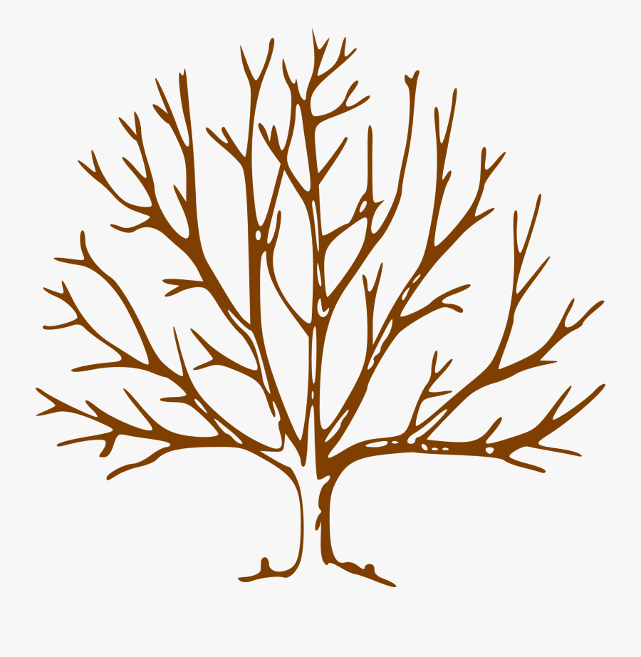 Bare Tree Clipart - Brown Tree Without Leaves, Transparent Clipart