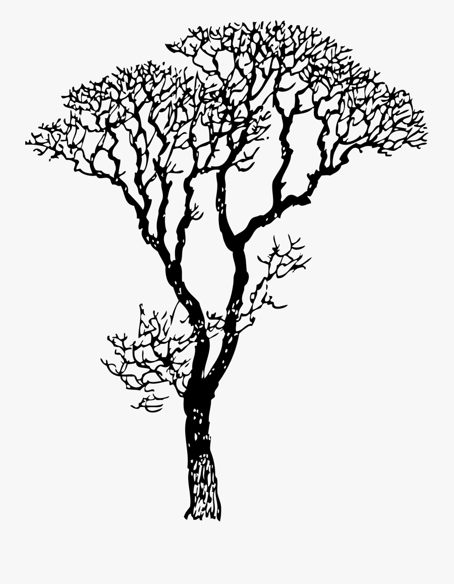 Bare Tree - Tree Black And White, Transparent Clipart