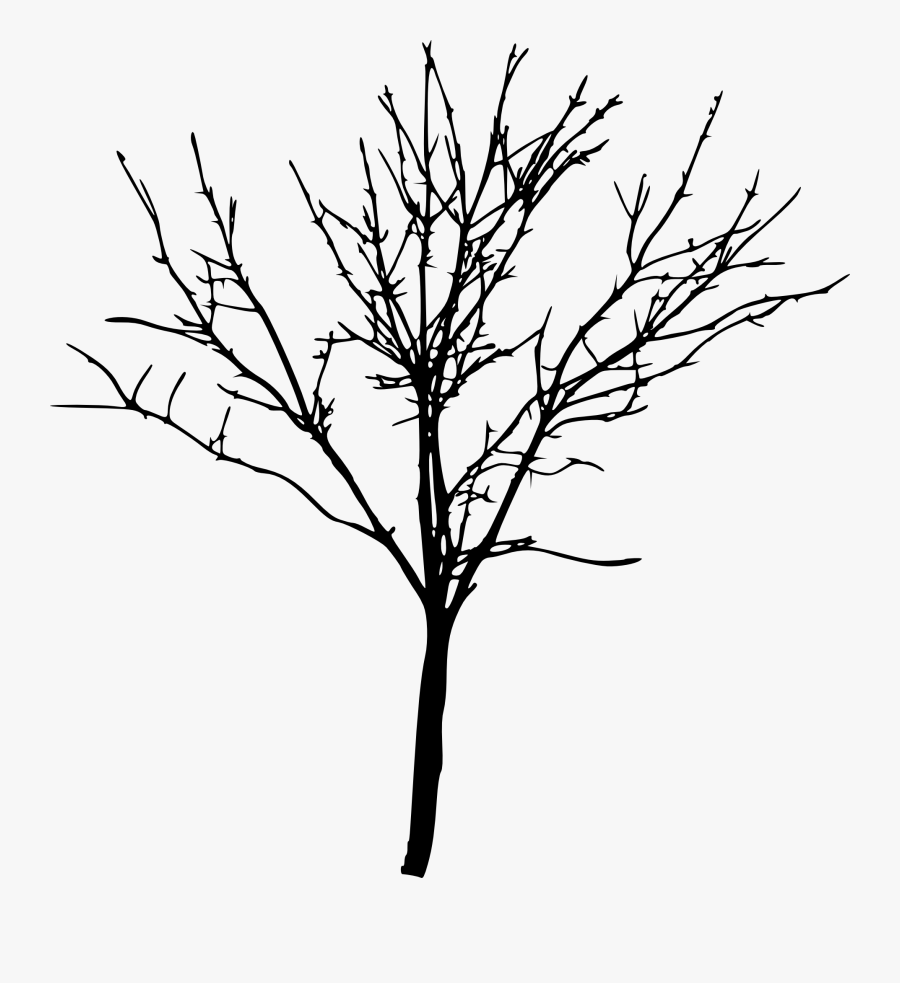 Bare Tree Transparent Background - Transparent Bare Tree Png, Transparent Clipart