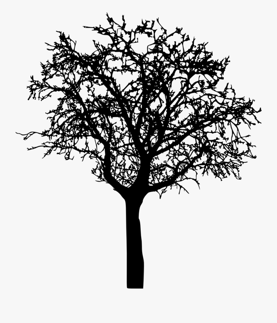 Png File Size - Bare Tree Silhouette Png , Free Transparent Clipart
