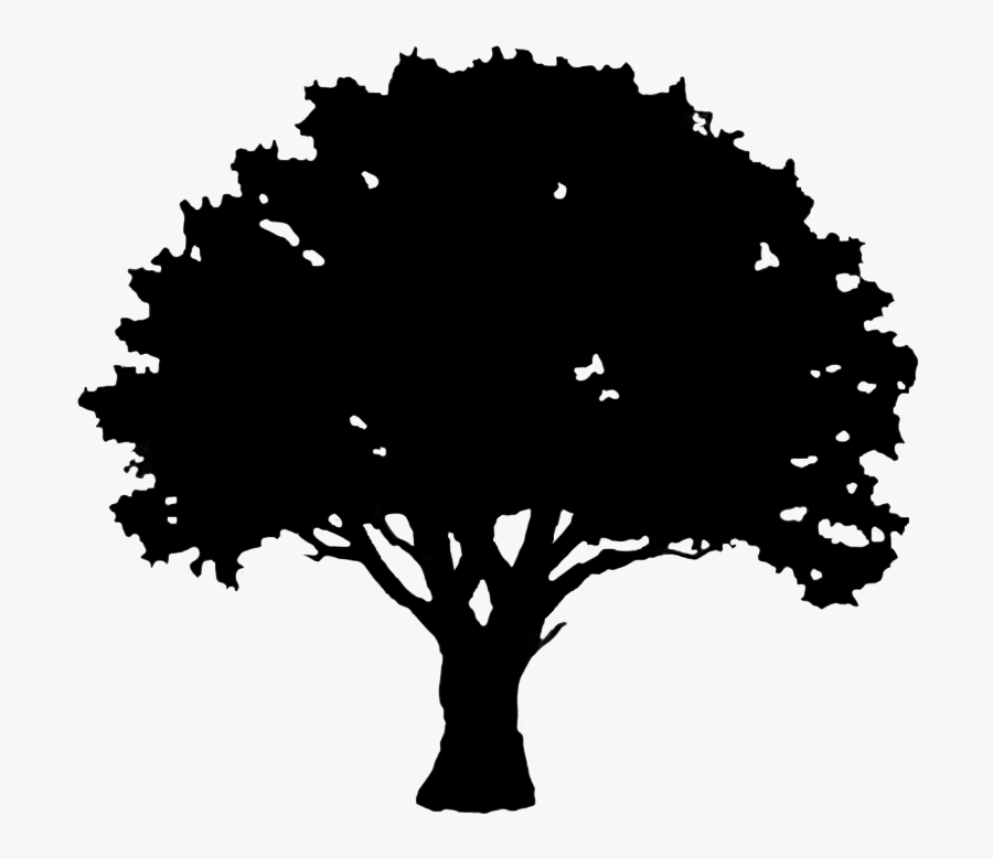 Dead Tree Silhouette Png -excelent Tree Silhouette - Oak Tree Silhouette Svg, Transparent Clipart