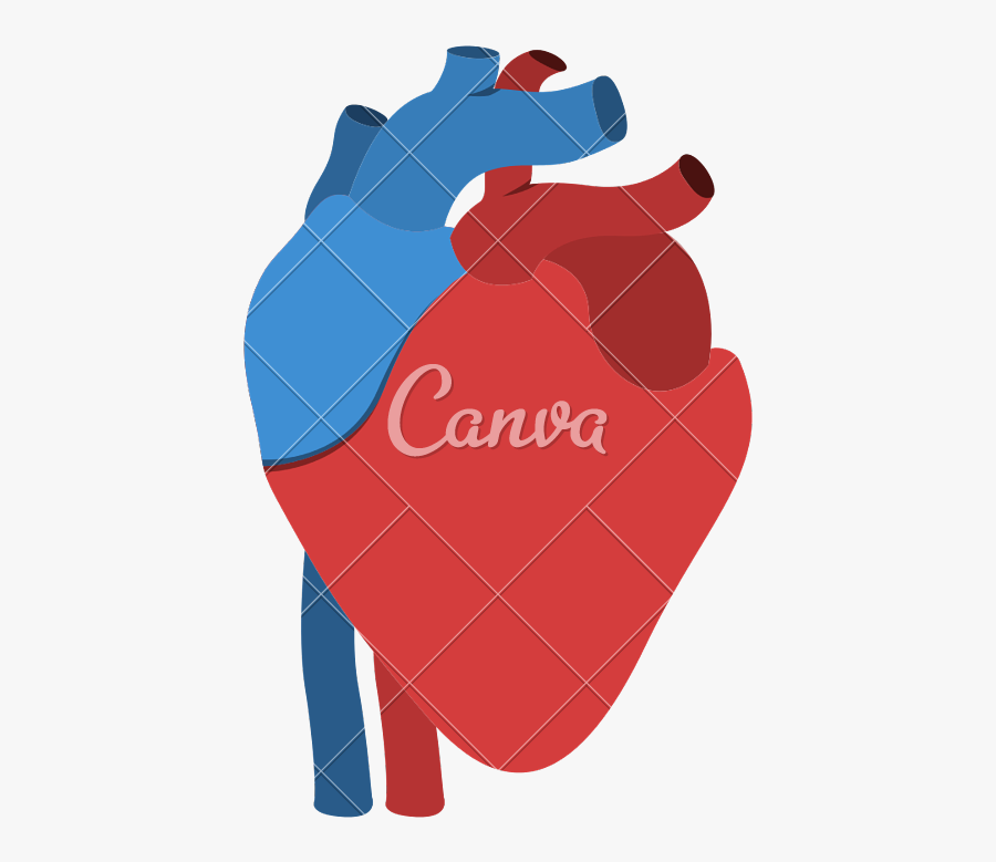 Human Heart Anatomy Isolated Icon Design - Canva, Transparent Clipart