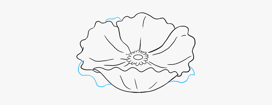 How To Draw Poppy - Drawing, Transparent Clipart