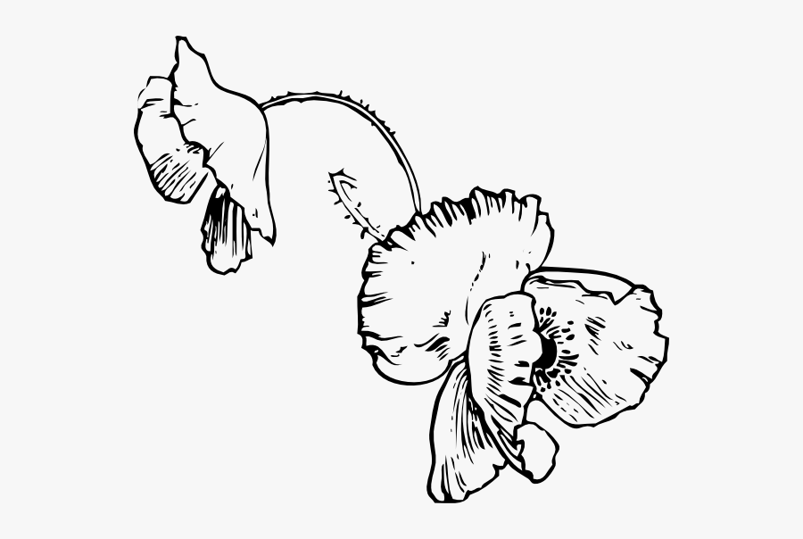 Free Vector Poppy Tattoo Clip Art - Dead Flowers Coloring Pages, Transparent Clipart