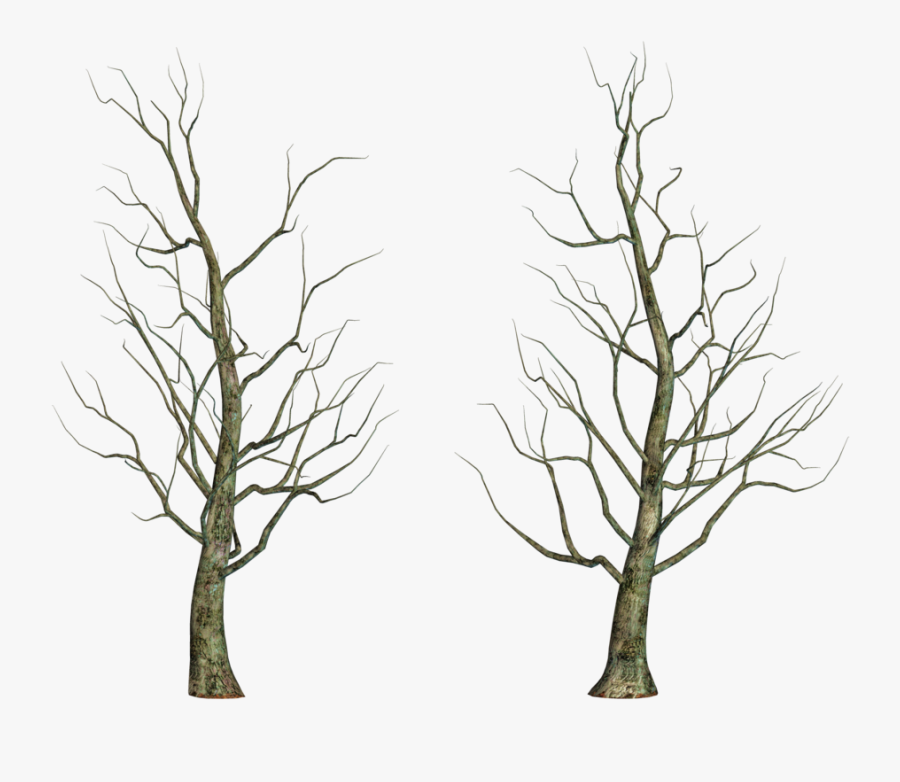 Leafless Tree Png Images - Leafless Tree Transparent, Transparent Clipart