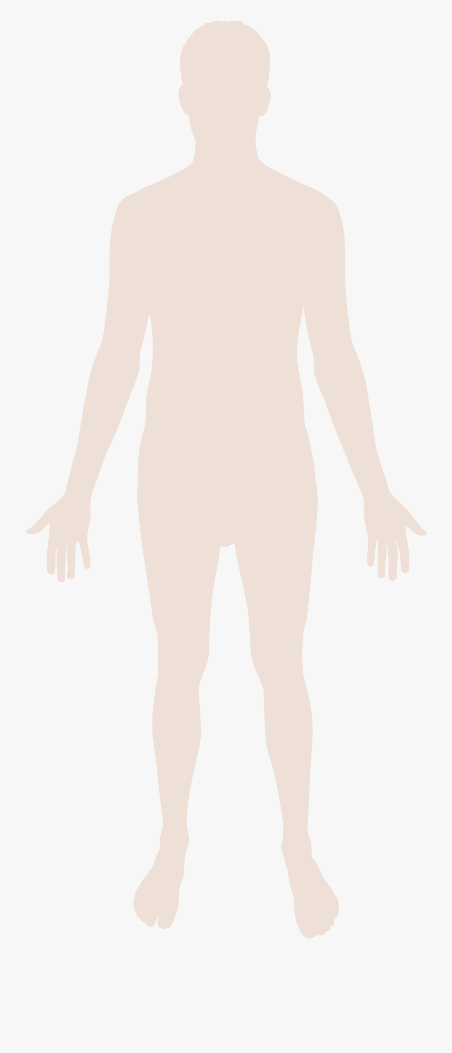 Human Body Silhouette - Transparent Background Body Png, Transparent Clipart