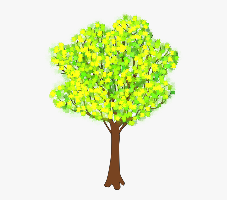 Plant,tree,yellow - Clip Art Spring Trees, Transparent Clipart
