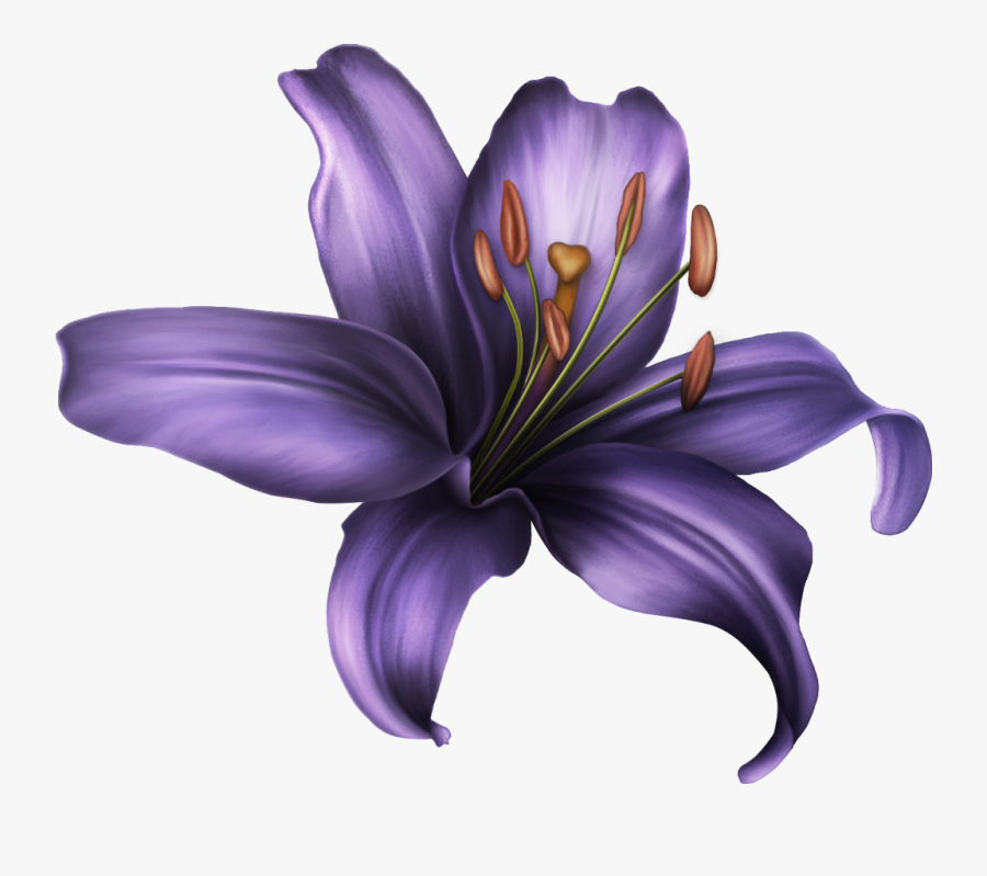 #ftestickers #clipart #flower #purple - Transparent Purple Lily Png, Transparent Clipart