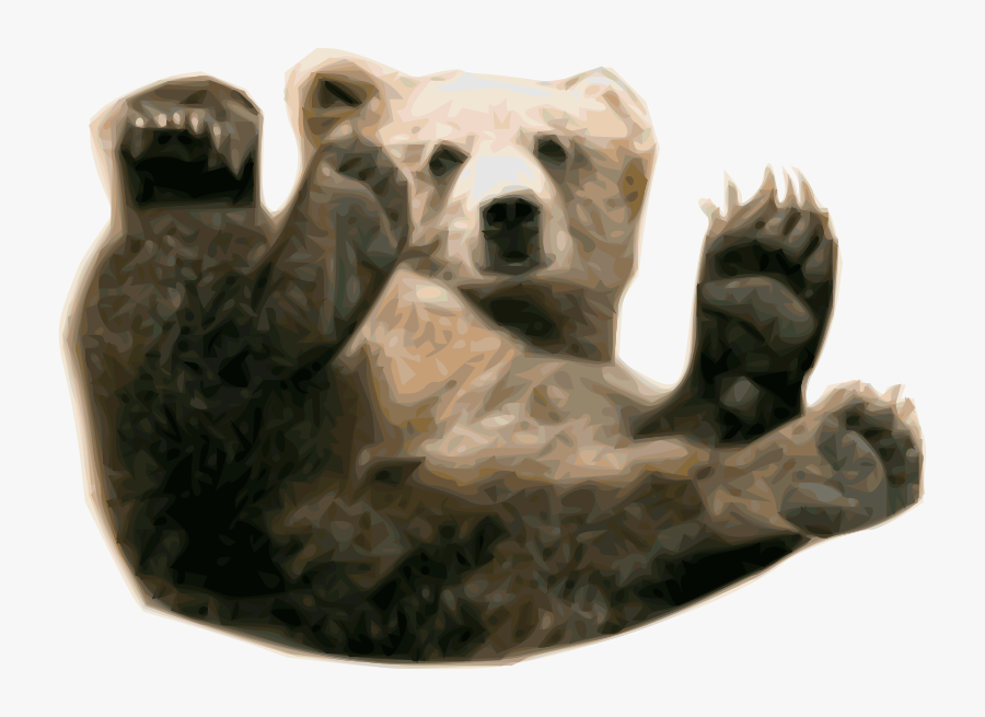 Real Baby Bear Png, Transparent Clipart