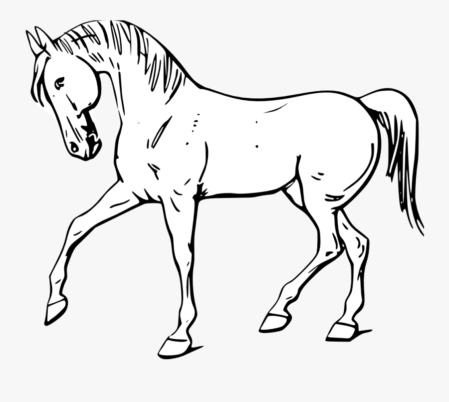 Horse Png Clipart Png - Horse In Black And White, Transparent Clipart