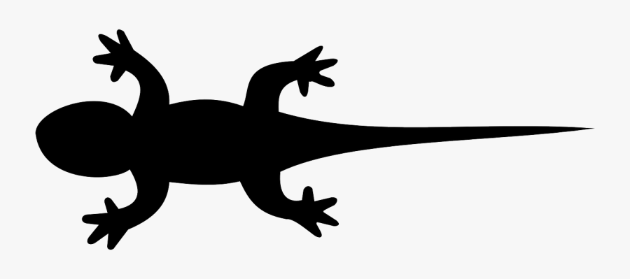 Iguana Clipart Newt - Lizard Black Clipart , Free Transparent Clipart ...