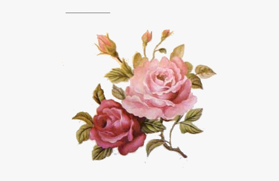 Garden Roses, Transparent Clipart