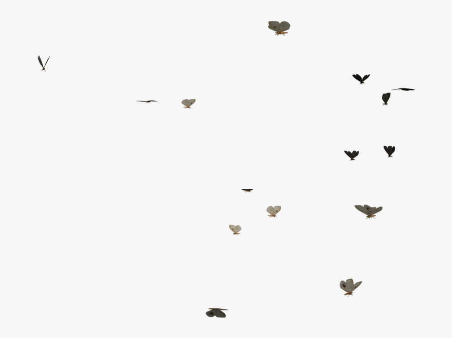 Swarm Of Butterflies Png - Transparent Butterfly Gif Png, Transparent Clipart