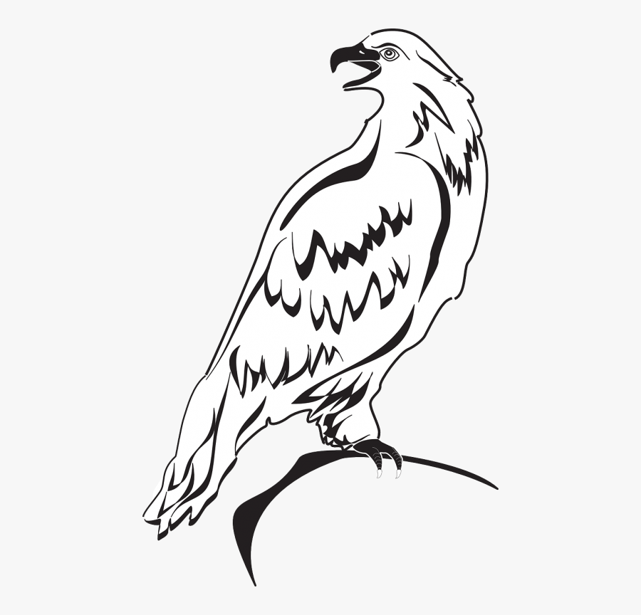 Eagle Wings Spread Clipart - Out Line Images Of Eagle, Transparent Clipart