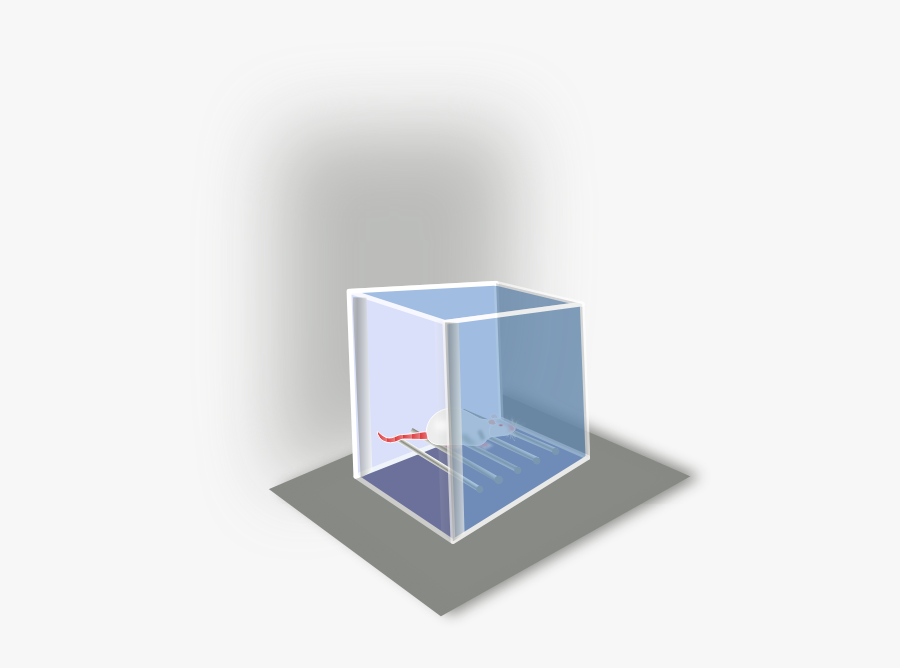 Conditioning Box Vector Drawing - Shelf, Transparent Clipart