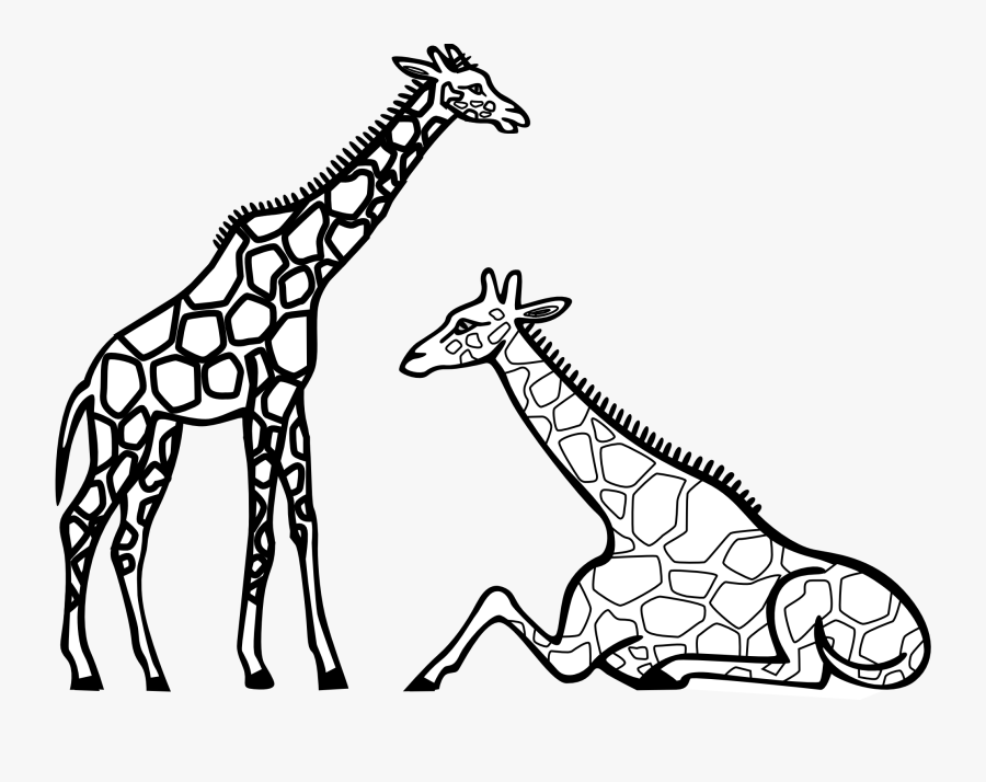 Zebra Clipart Png - Giraffes Clipart Black And White, Transparent Clipart