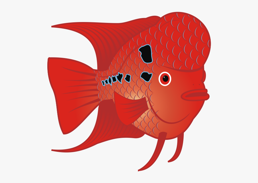 Flowerhorn Fish Vector Image - Fish Clip Art, Transparent Clipart