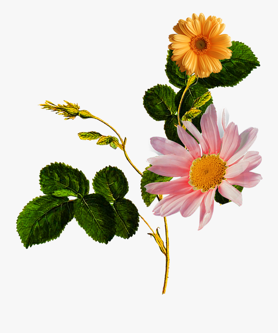 Flower Patch Textile Design - وردة صفراء, Transparent Clipart