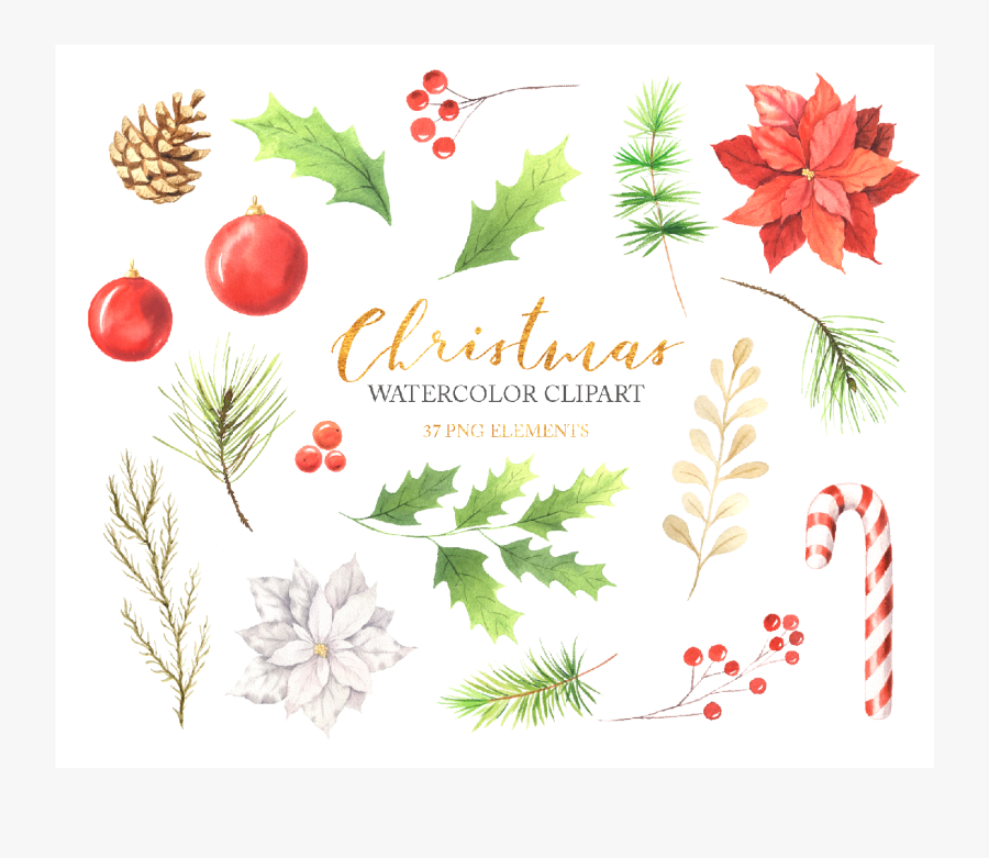 Watercolor Christmas Floral Clipart Example Image - Christmas Card, Transparent Clipart