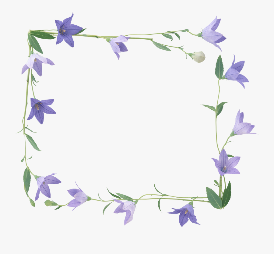 Floral Frame Png - Purple Flower Wallpaper Frame, Transparent Clipart